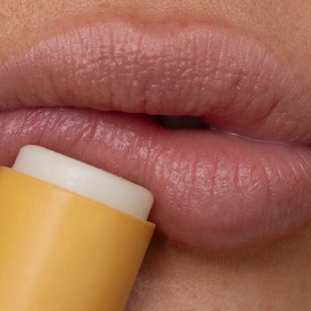 Poppy and Pout lip care duo Lemon Bloom - open products