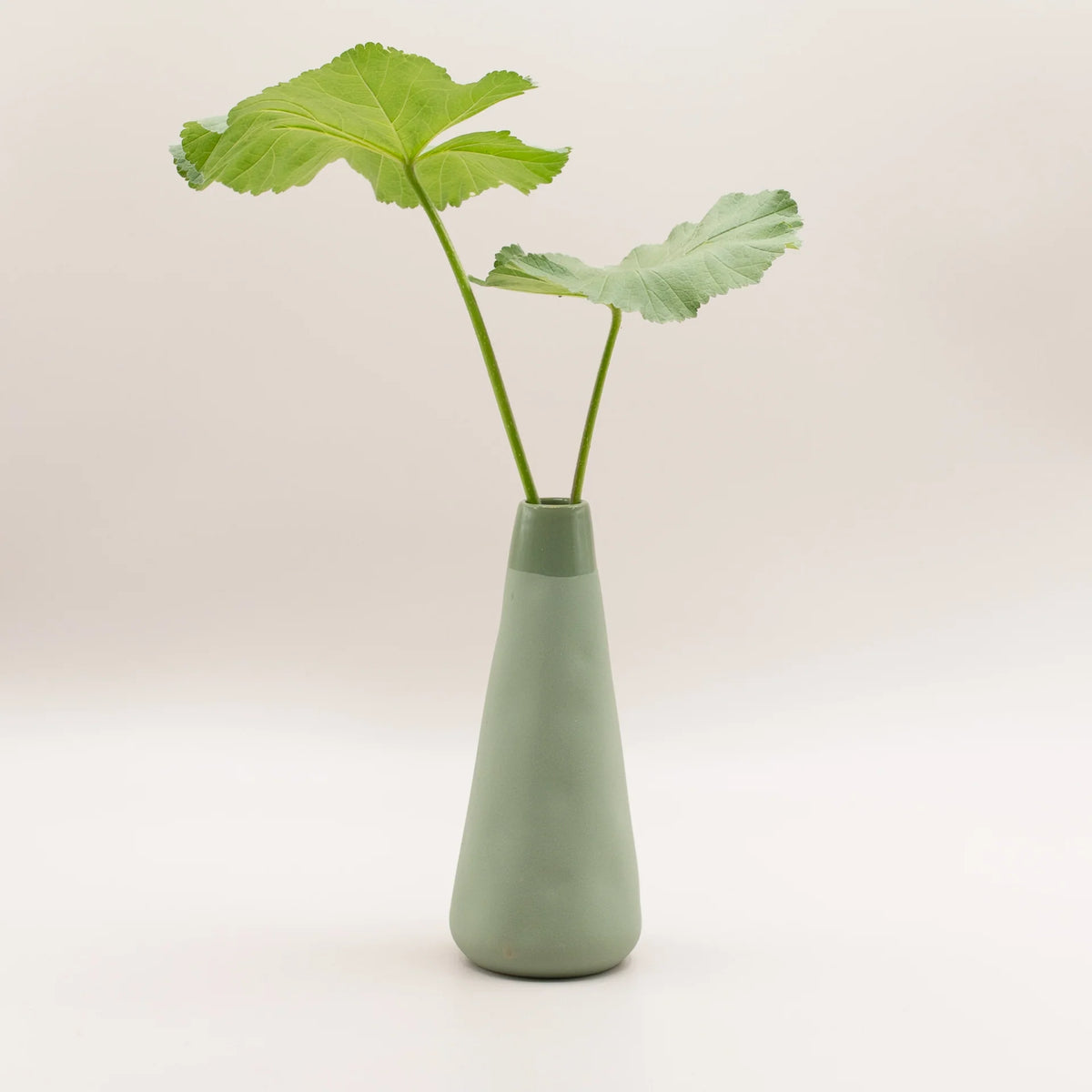 Myrtle & Moss Forest reed diffuser in sage green ceramic vase, view 4