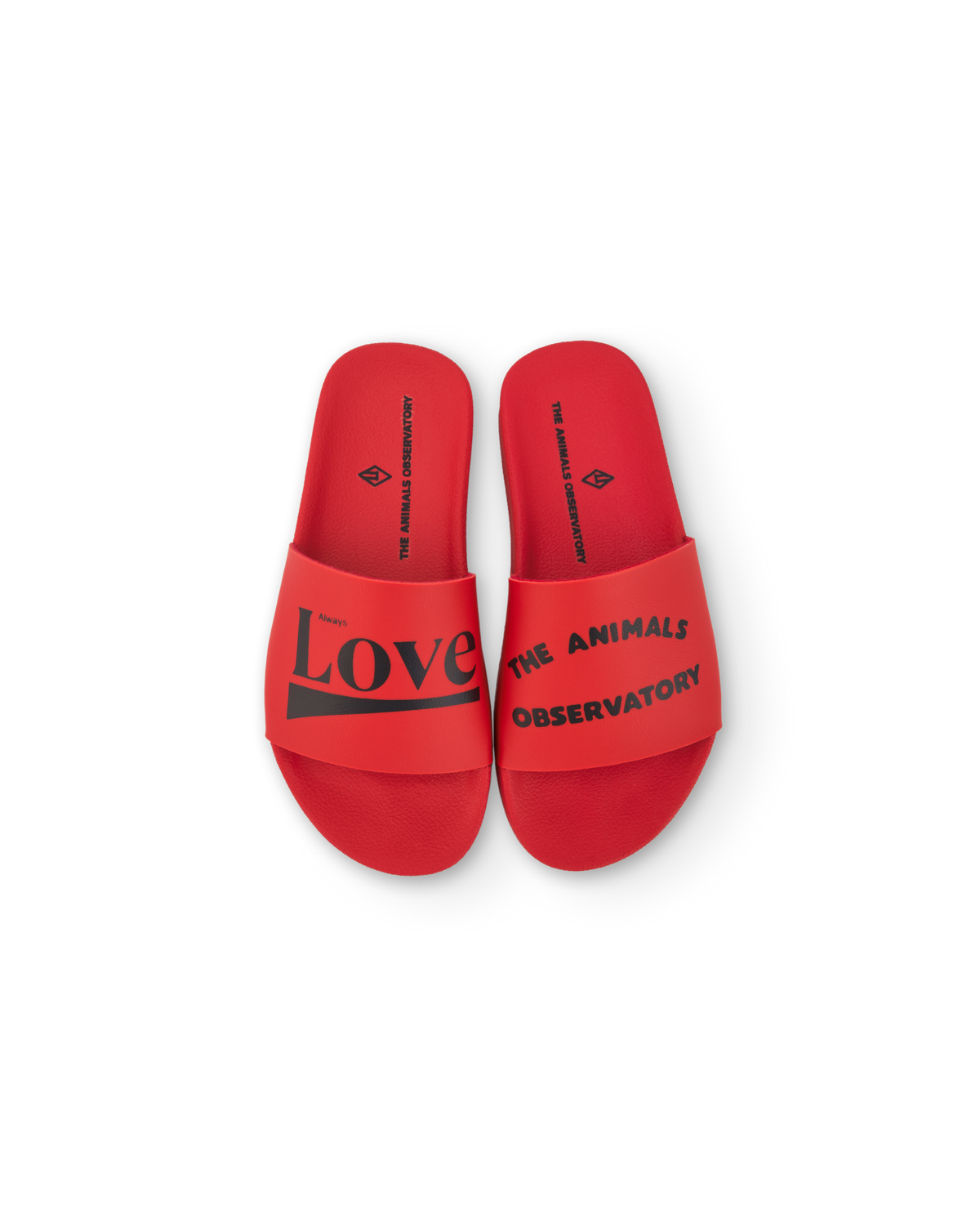 The Animals Observatory - Flip-Floops Kids Shoes SS25 — front view flat lay