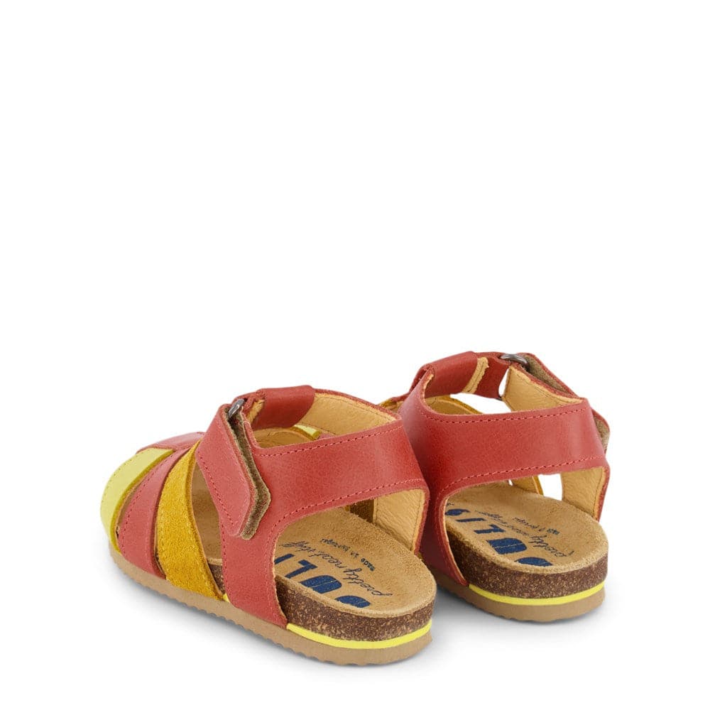 Dulis - Straps sandal- Coral — back view flat lay
