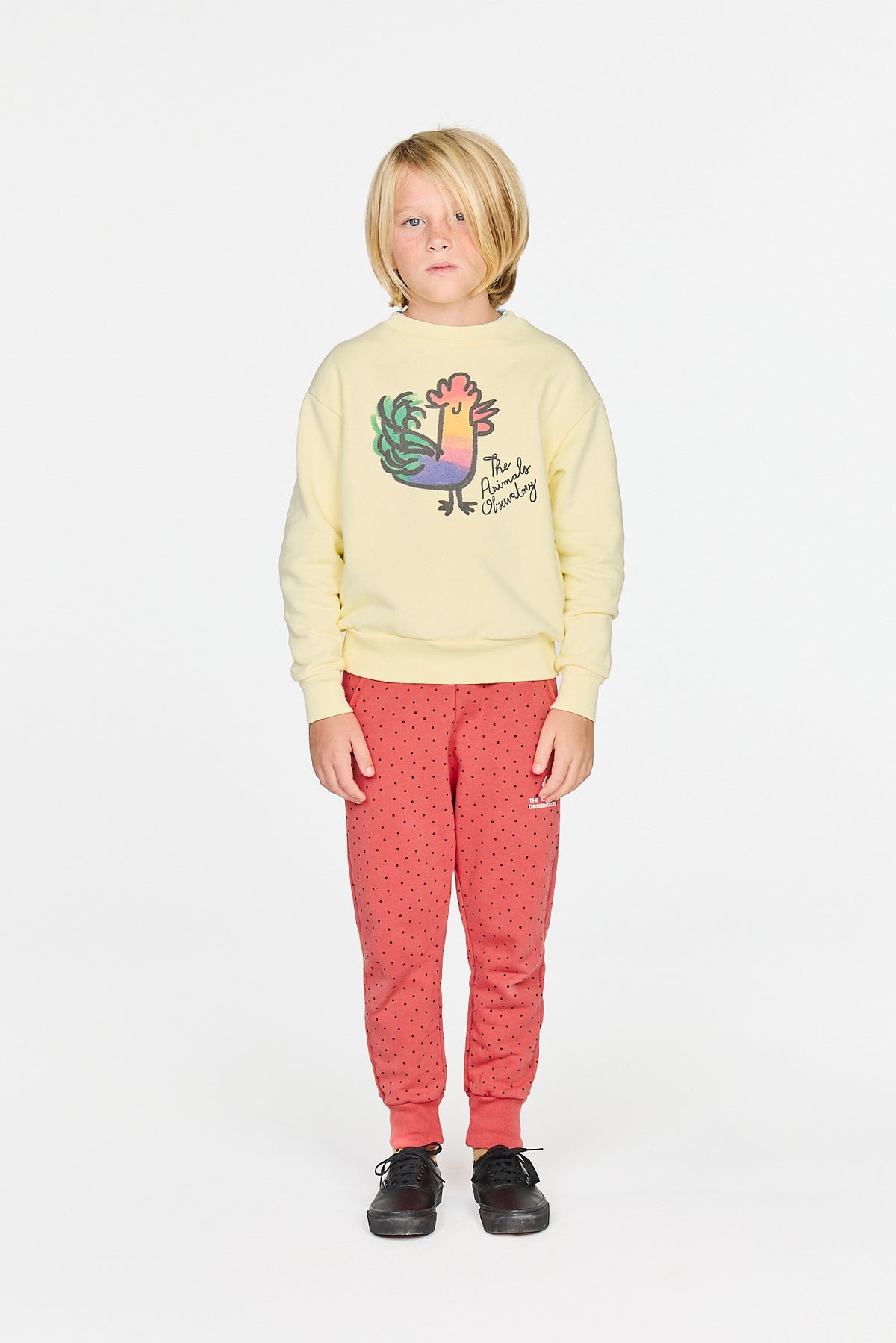 The Animals Observatory - Light Yellow Bear Sweatshirt- Rooster — product detail shot