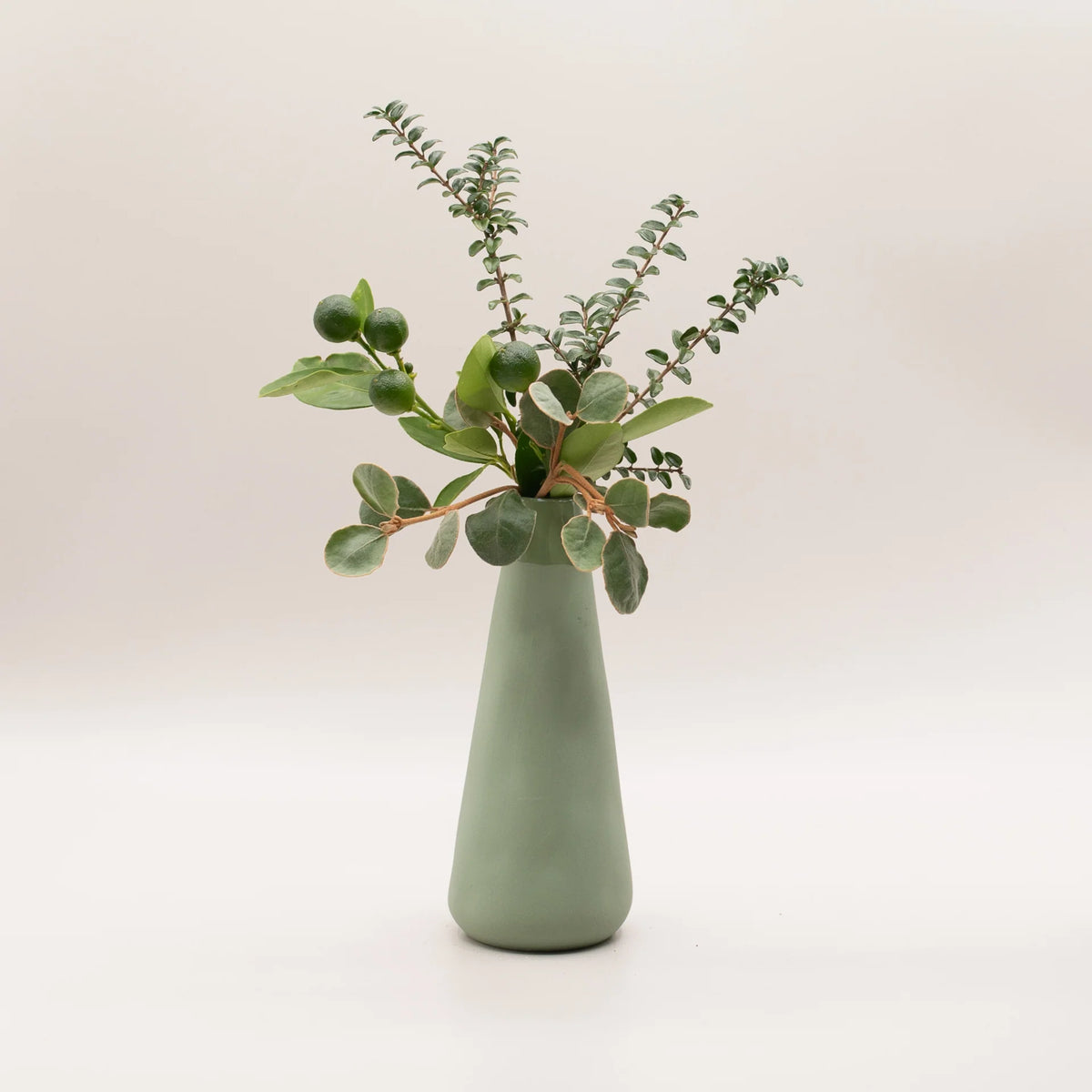 Myrtle & Moss Forest reed diffuser in sage green ceramic vase, view 2
