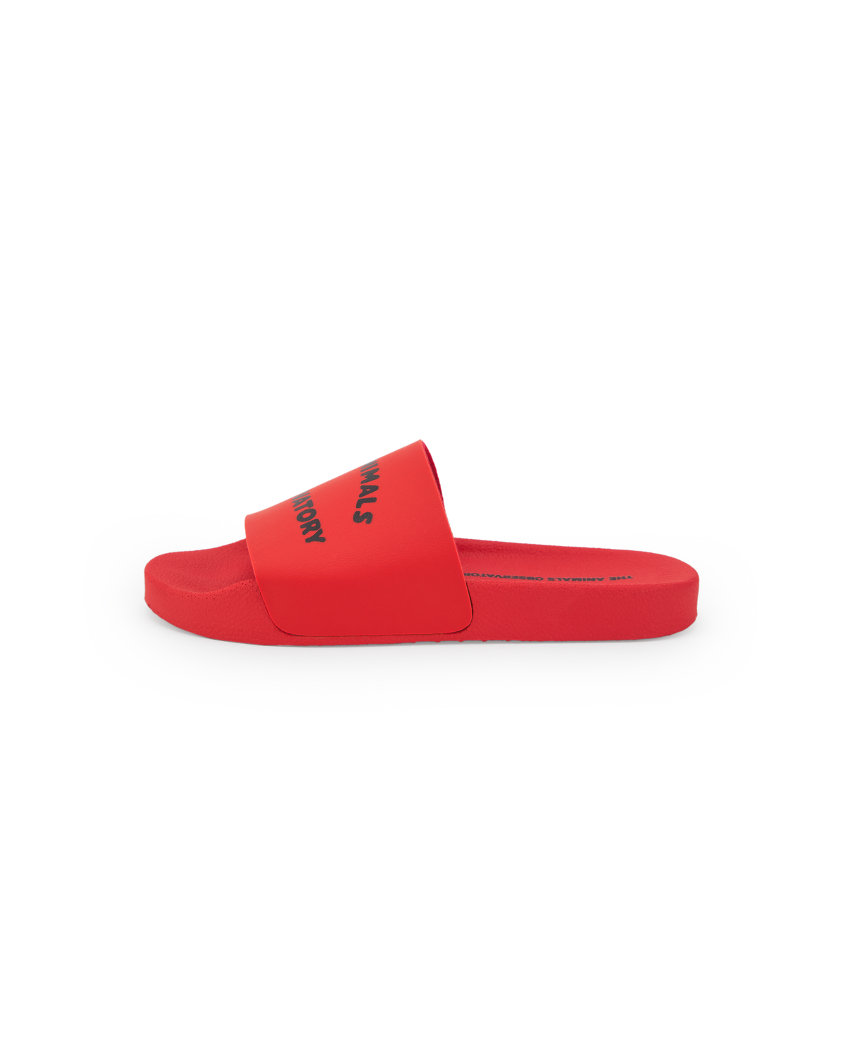 The Animals Observatory - Flip-Floops Kids Shoes SS25 — back view flat lay