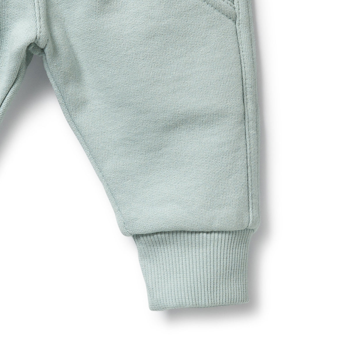 Wilson and Frenchy Sage Organic Terry Sweat Pant - lifestyle styled